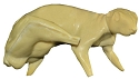 ES209